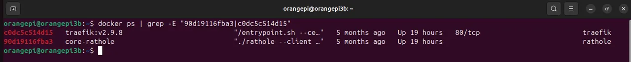Running containers on the home server